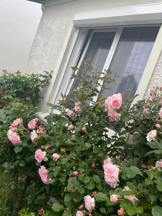 Chambre A Louer 1 A 2 Personnes Chez L'Habitant Saint-Herblain Εξωτερικό φωτογραφία